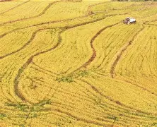 大发娱乐平台-里尔豪取三分战胜亚眠，稳步前进