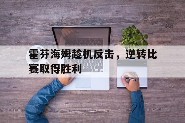 关于霍芬海姆趁机反击,逆转比赛取得胜利的信息 关于霍芬海姆趁机反击,逆转比赛取得胜利的信息