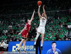 大发娱乐平台-辽宁男篮再夺冠，壮举登上风口浪尖的简单介绍